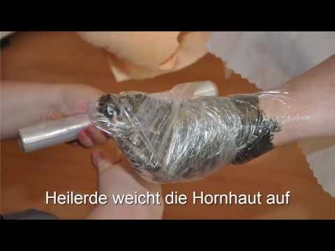Anwendungsvideos