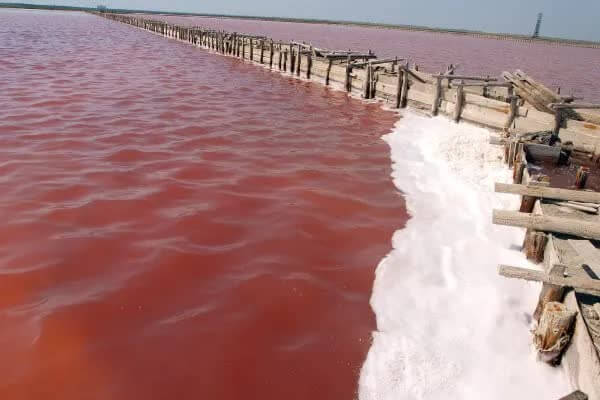 Naturbelassenes Meersalz aus der rosa, an Beta-Carotin reichen Sole