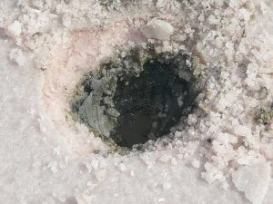 Sivash-Heilerde (Meeresschlick, Heilschlamm) im Salzsee unter der Salzschicht